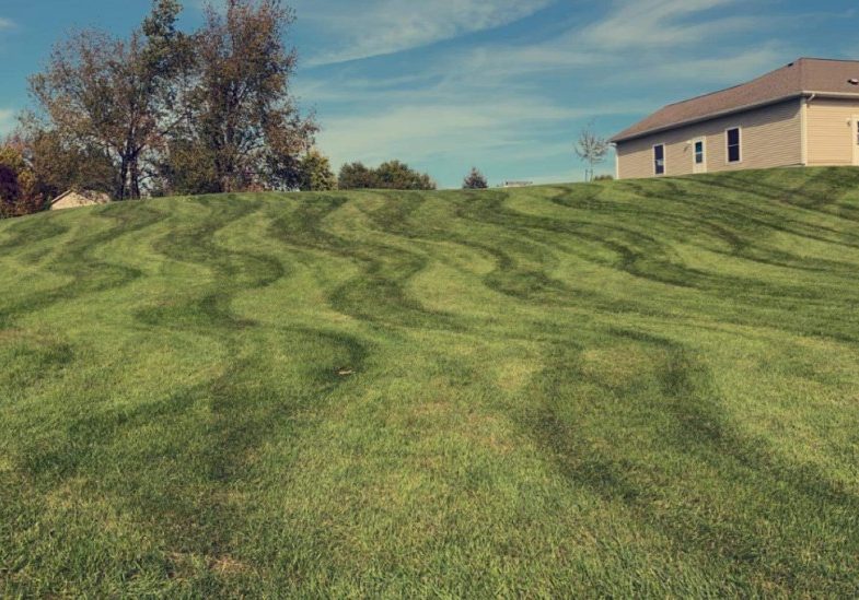 christian-brothers-lawncare-lawn-mowing-3720